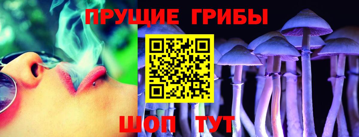 Псилоцибиновые грибы мухоморы  Псилоцибиновые грибы прущие грибы  Вход с VPN  Саров 